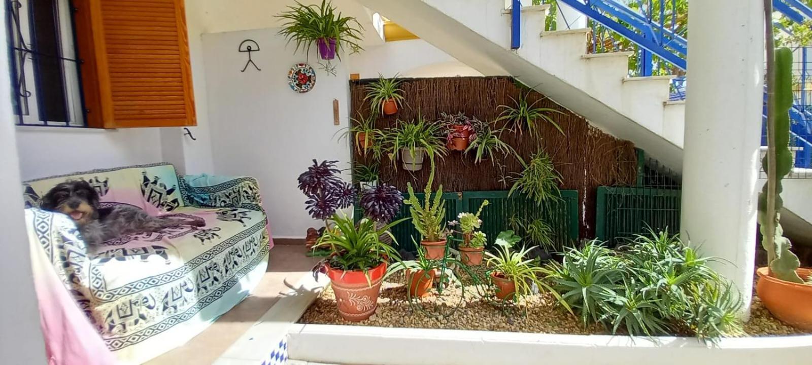 شقة Casa Chiki مْبيرا المظهر الخارجي الصورة